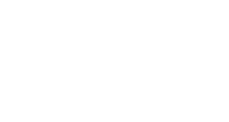 MSN NexGen Solutions logo